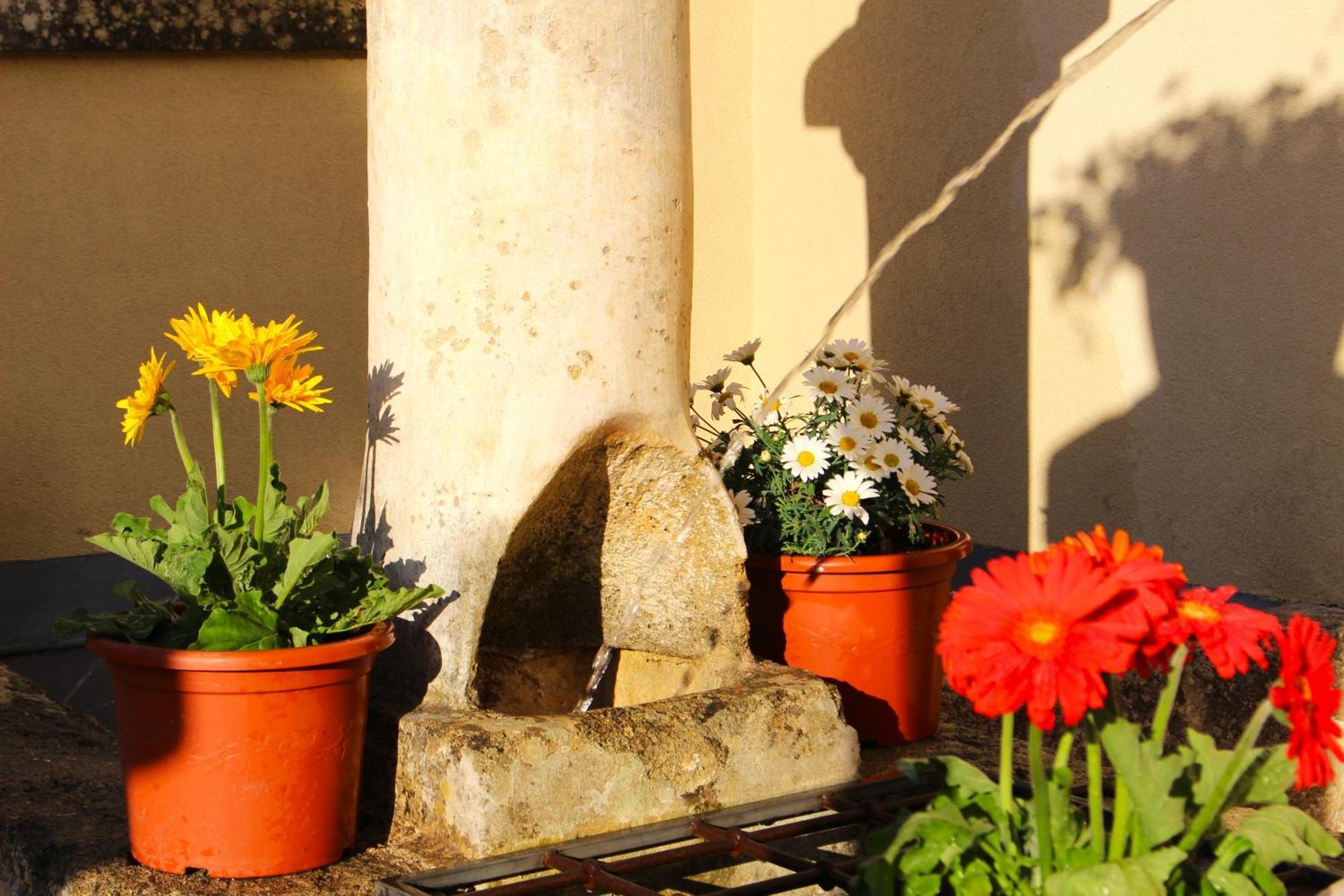 Bed and Breakfast Palazzo Aurora Alezio Esterno foto